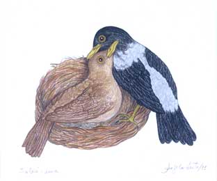 obra